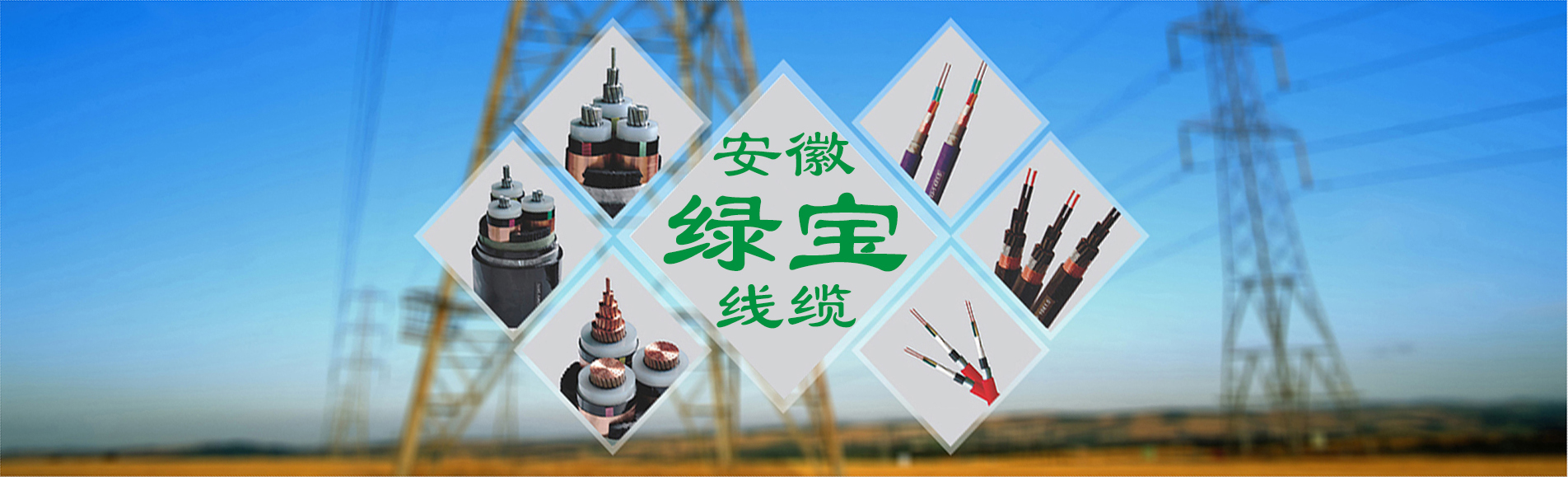 绿宝特种云博网页版登录入口:0551-64203668